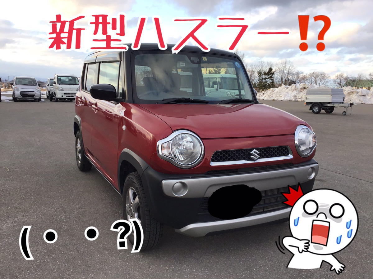 新型ハスラー！？
