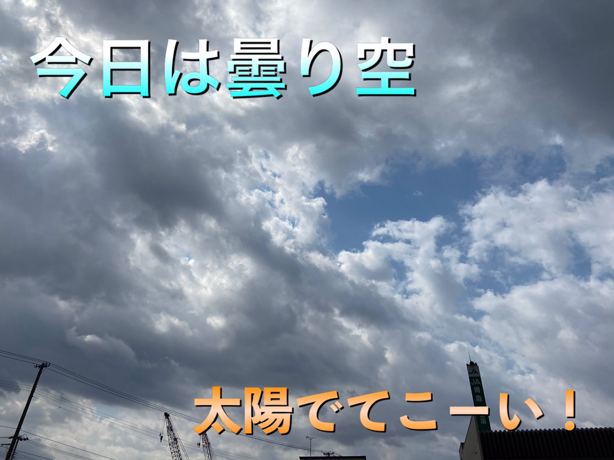 新古車市場ブログ