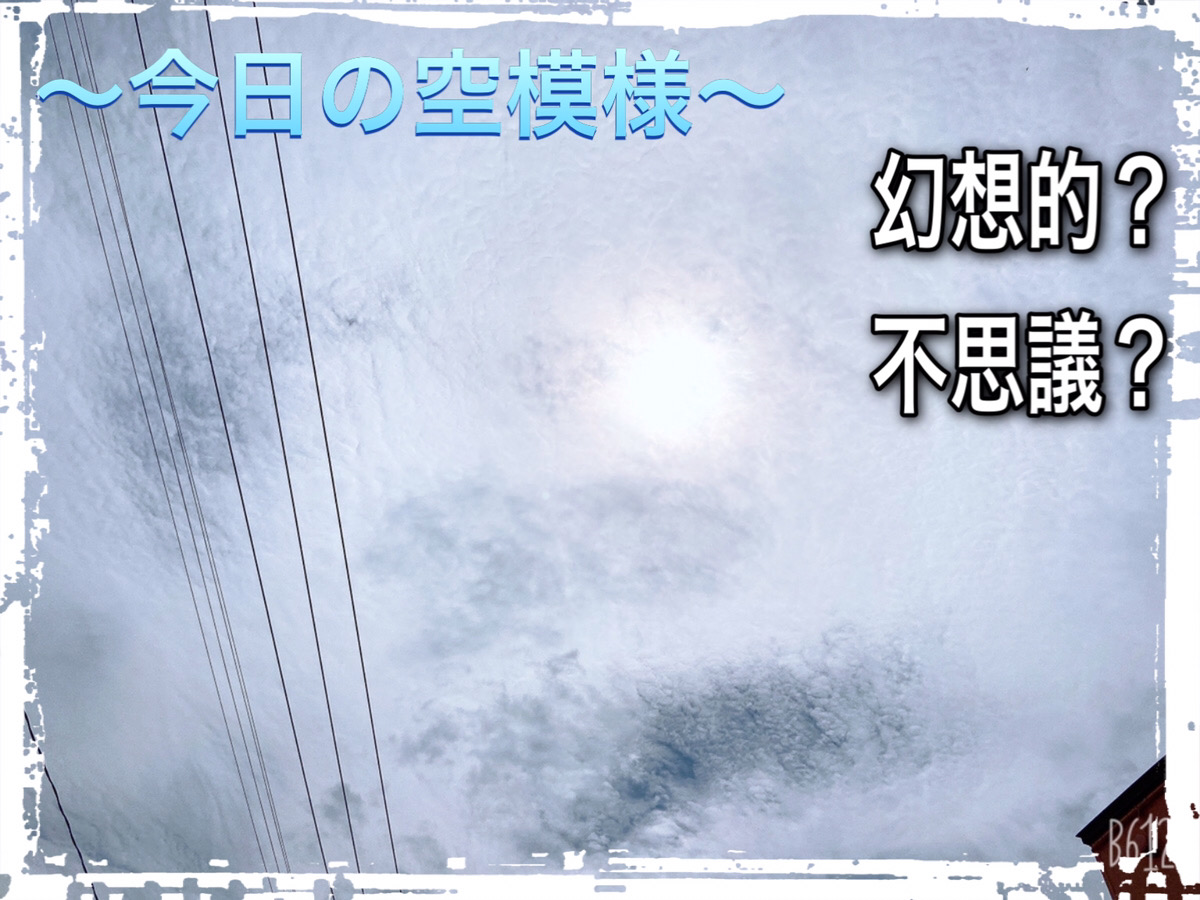 新車市場ブログ
