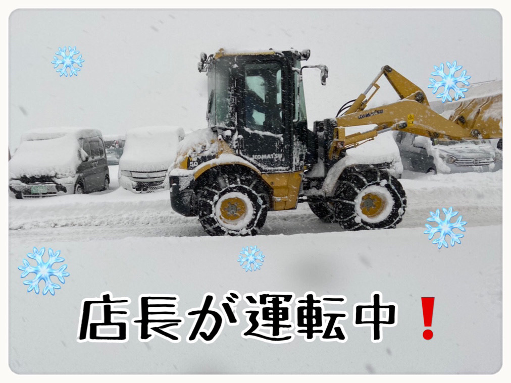 新車市場ブログ