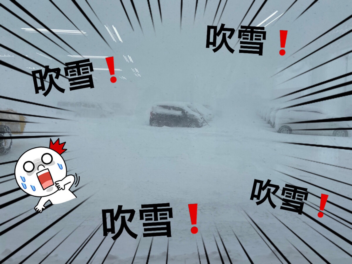 新車市場ブログ